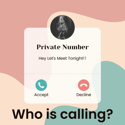 Free Reverse Phone Number Lookup Tool